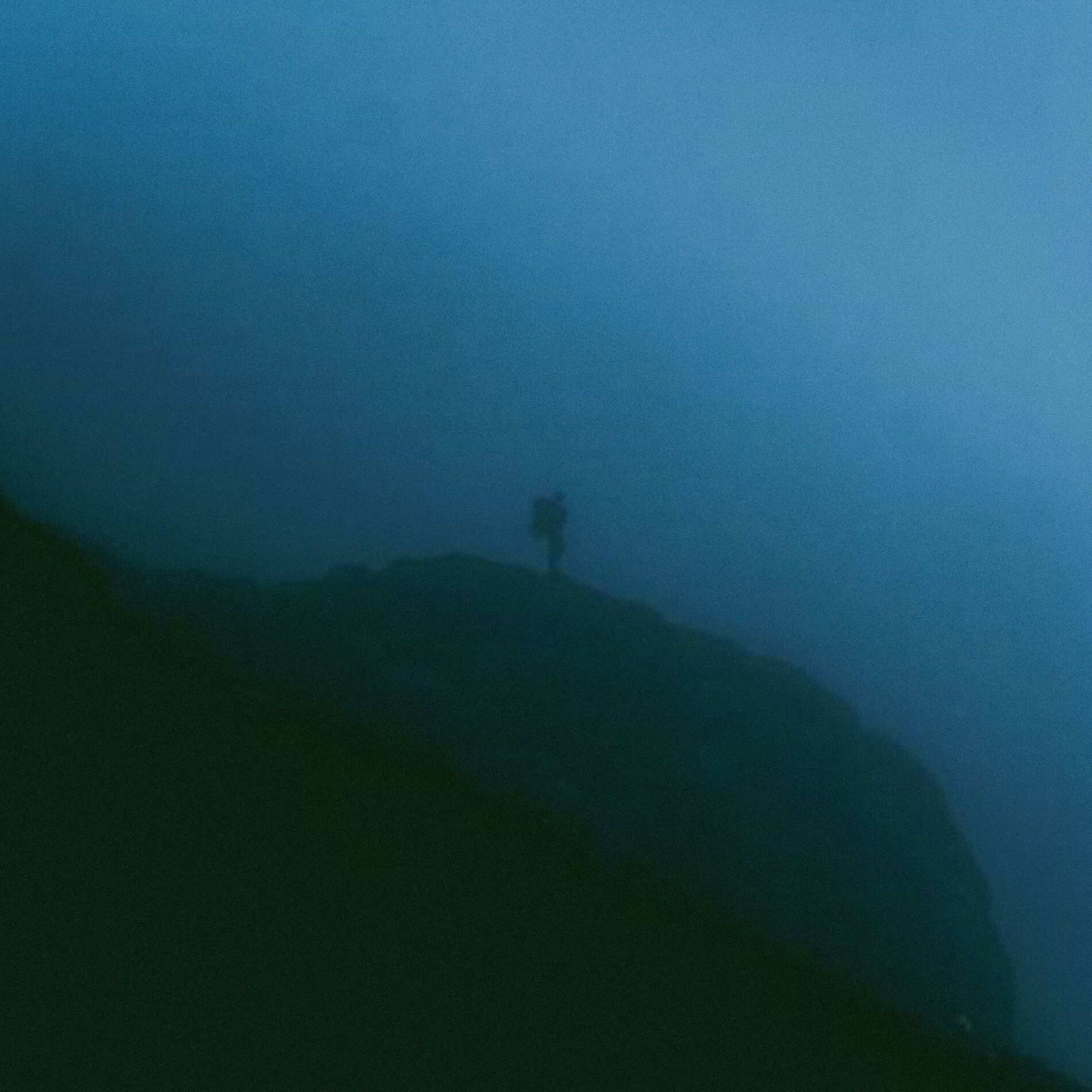 Album cover of lonely nights