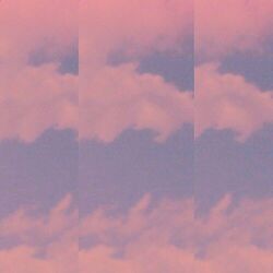 Cover of windfall (Rework)