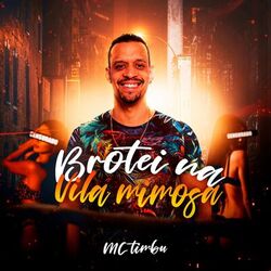 Cover of Brotei na Vila Mimosa