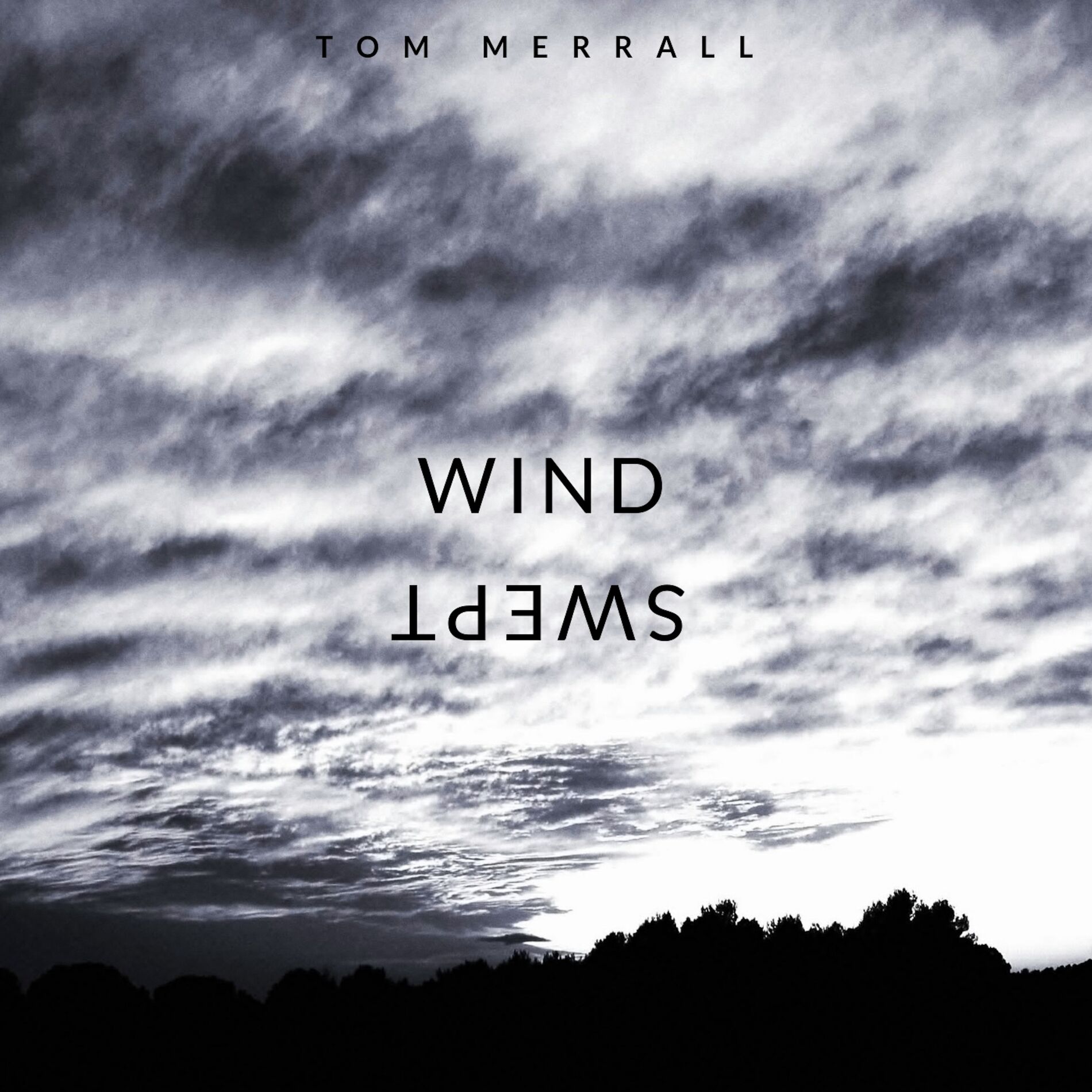 Album cover of Windswept