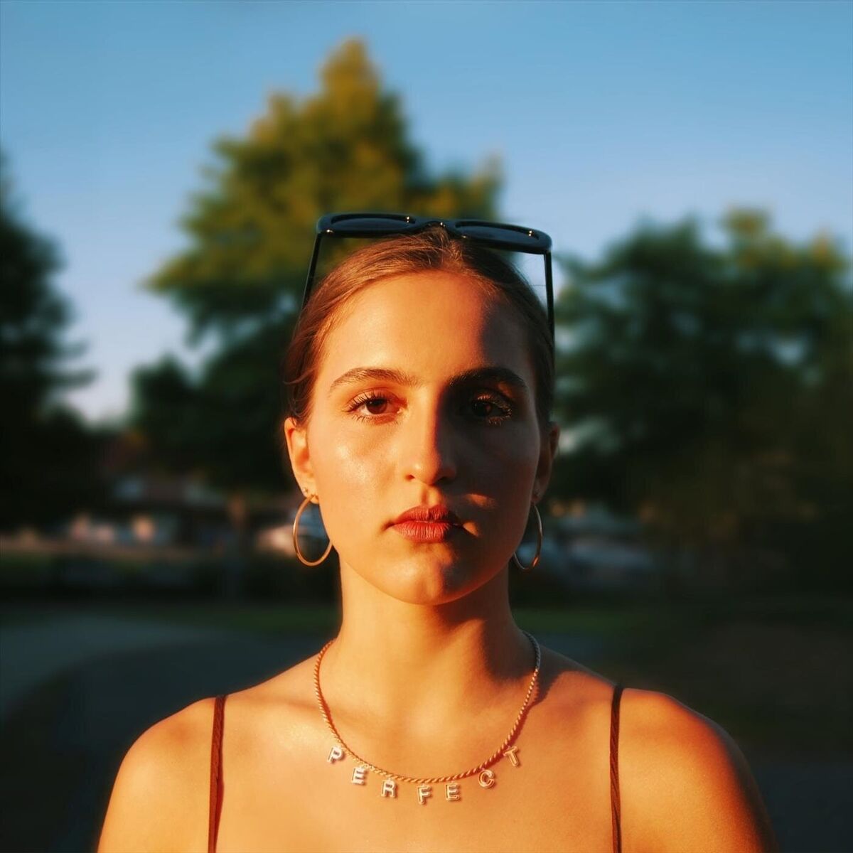 Album cover of PERFECT