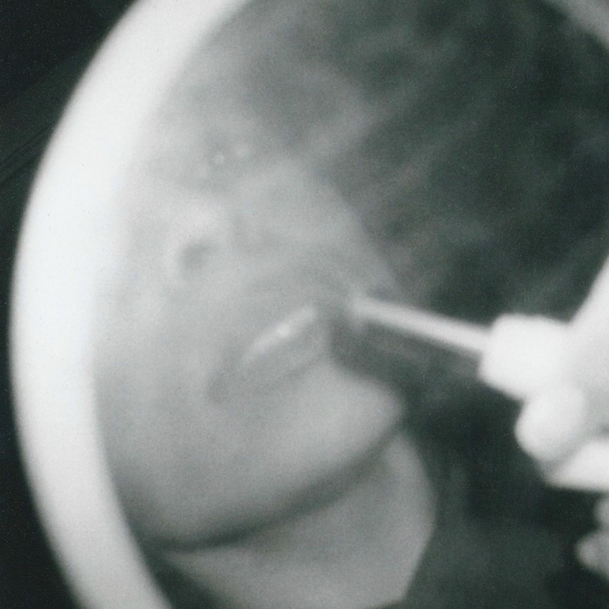 Album cover of Woman Of Faces