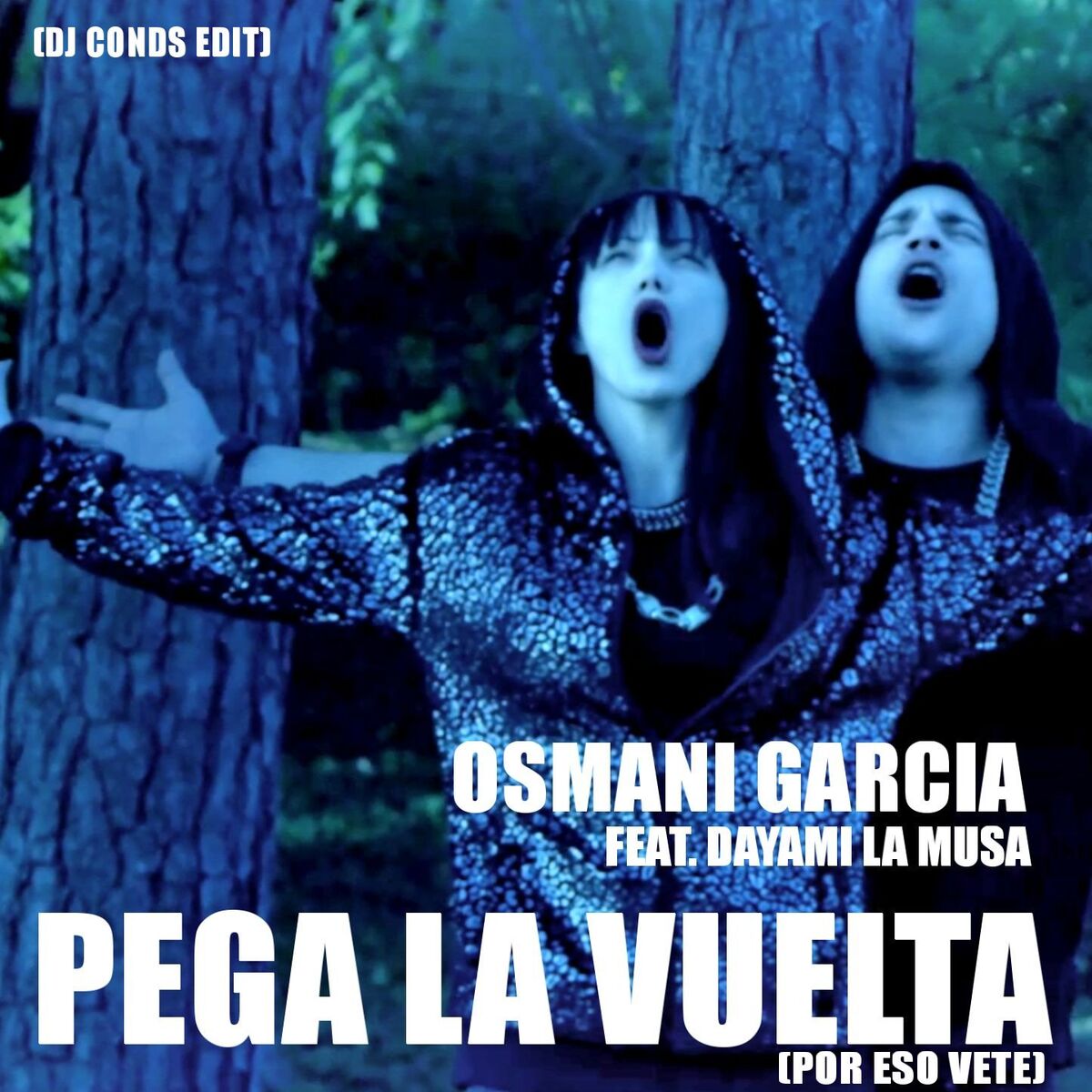 Album cover of Pega la Vuelta (Por Eso Vete)