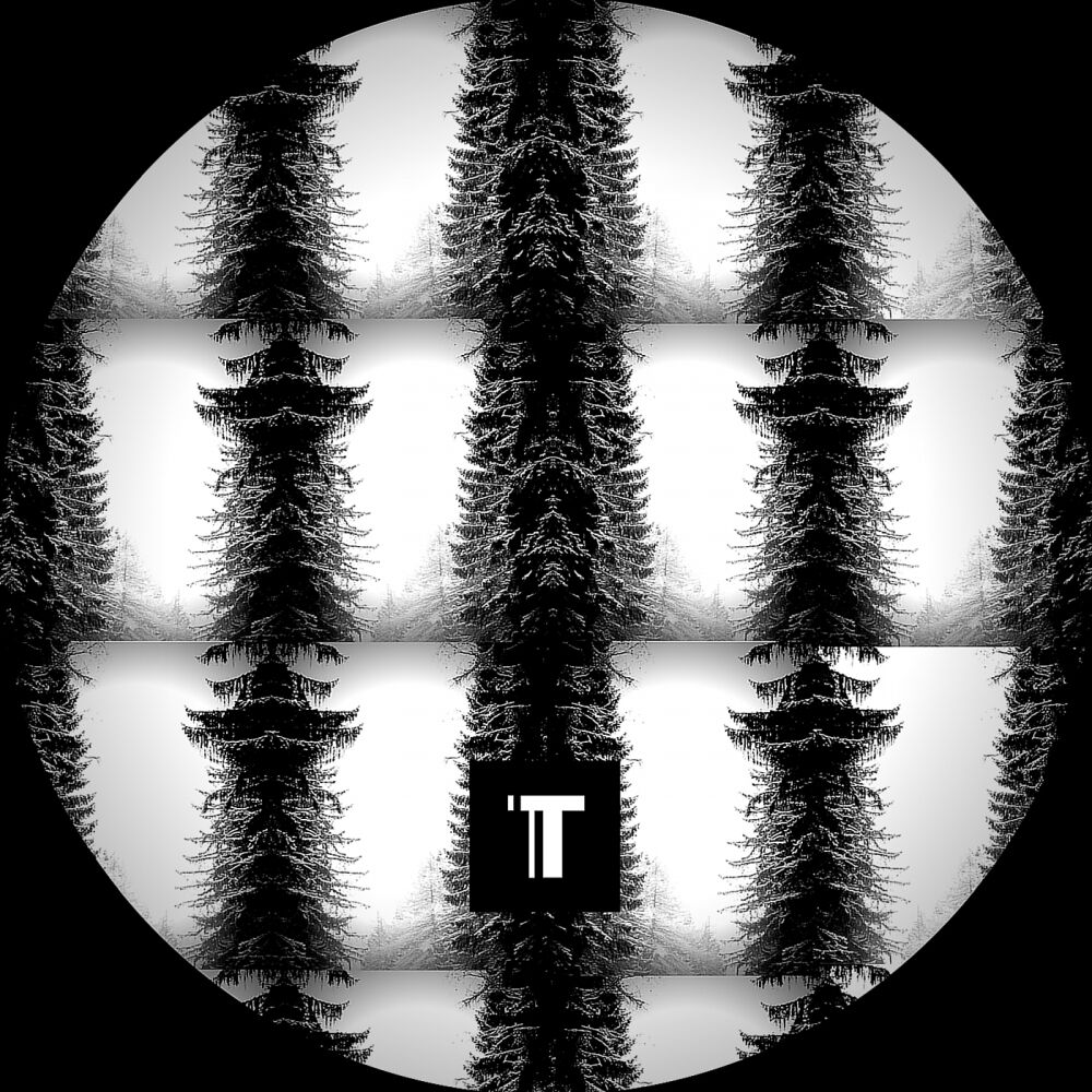 Picture of TAR04