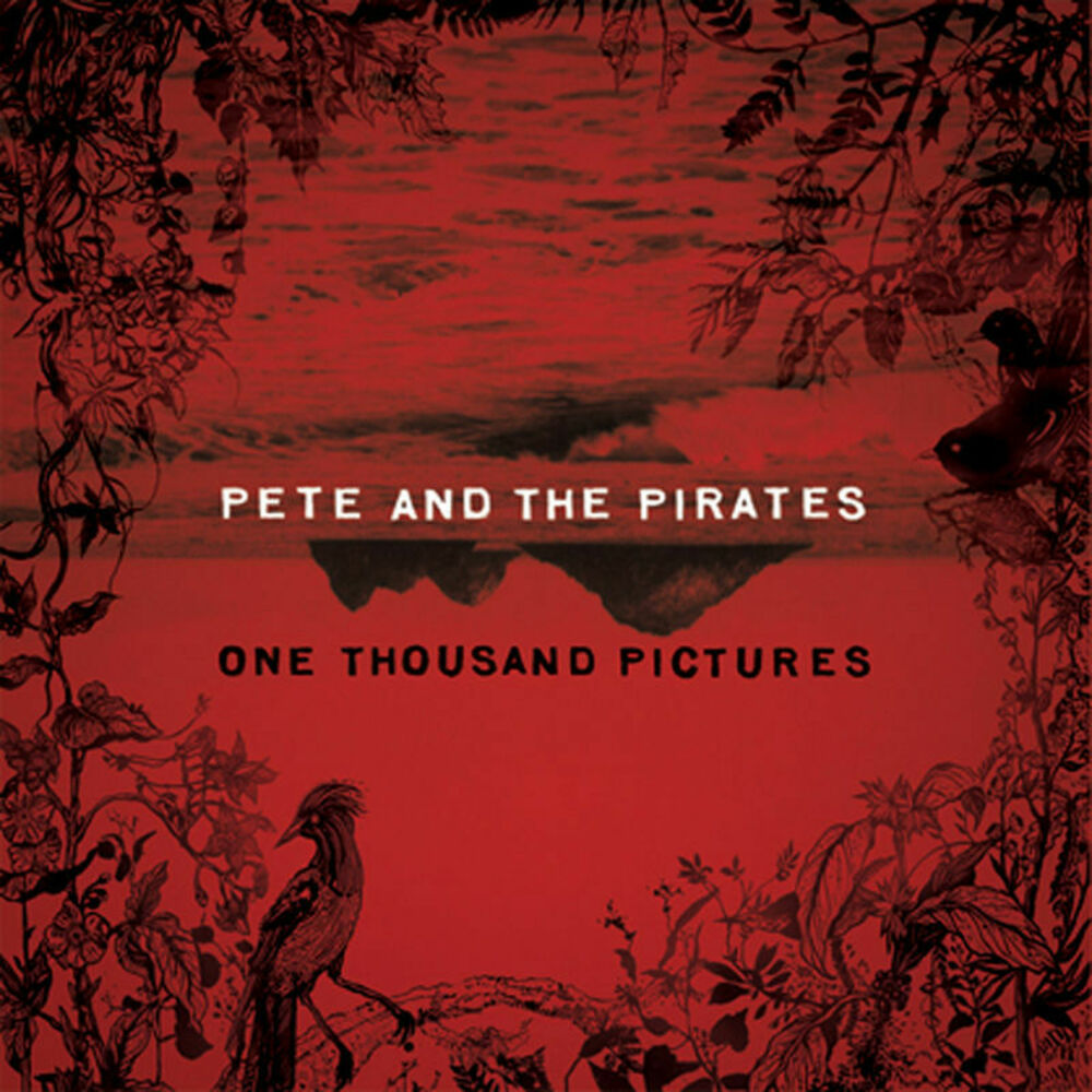 Picture of One Thousand Pictures