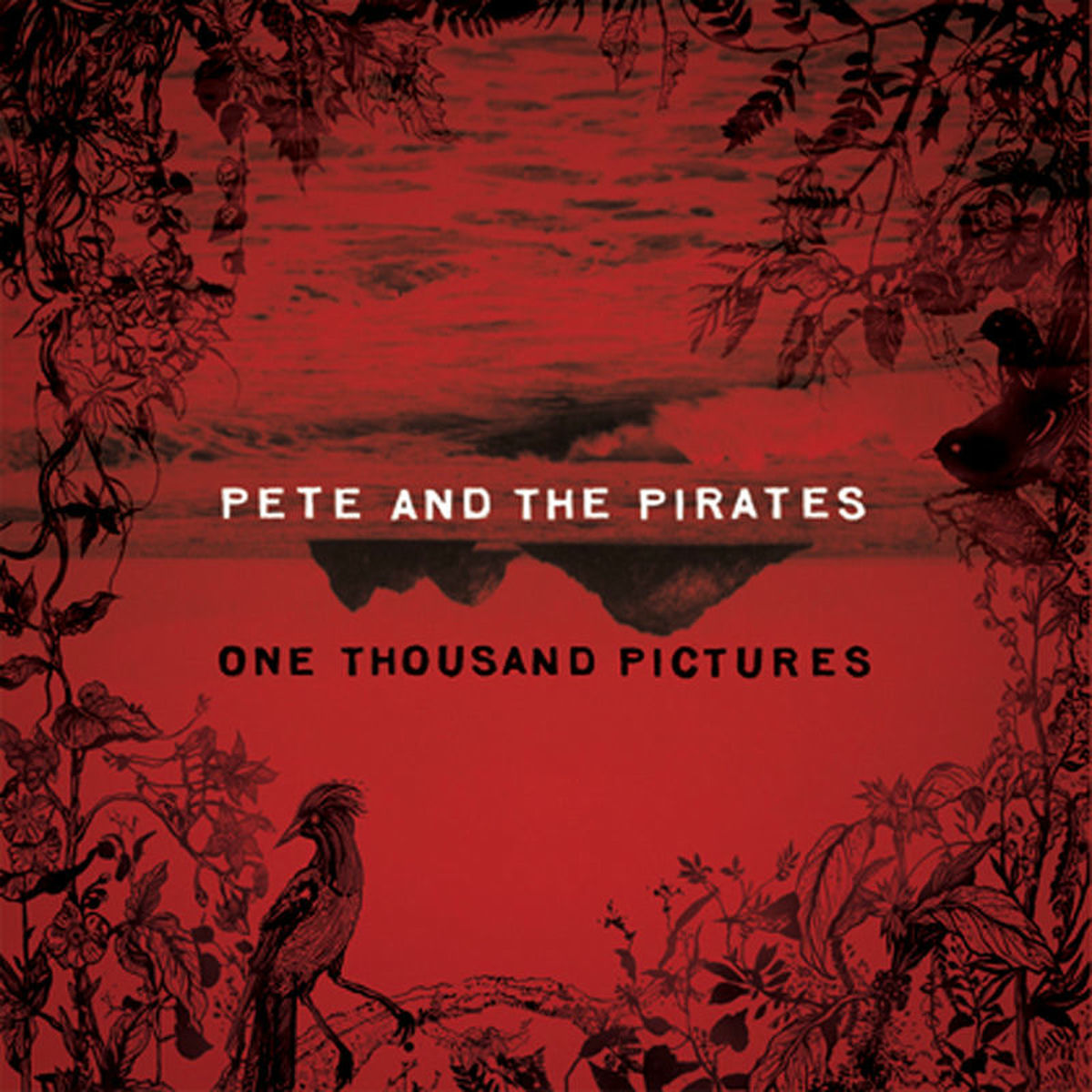 Album cover of One Thousand Pictures