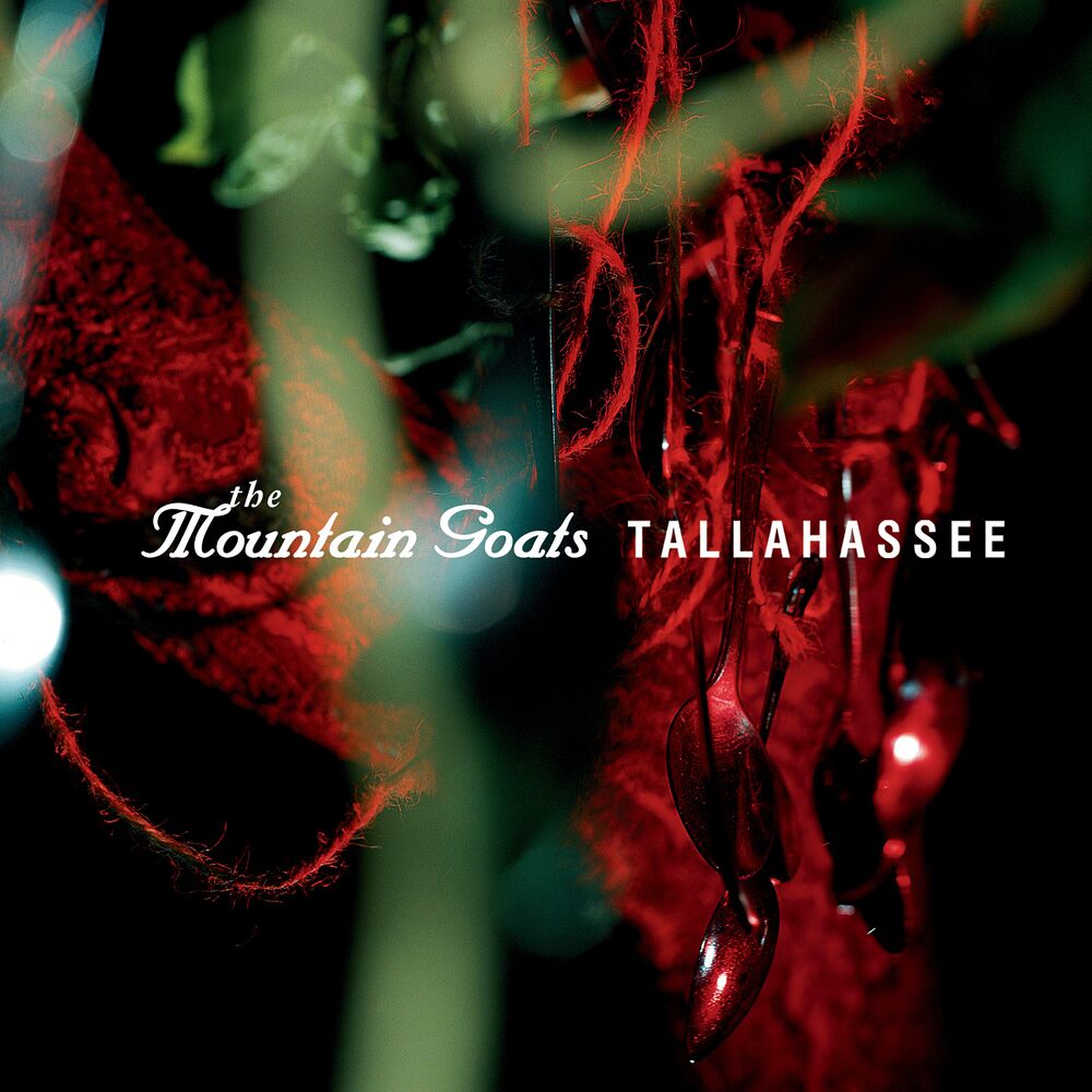 Picture of Tallahassee