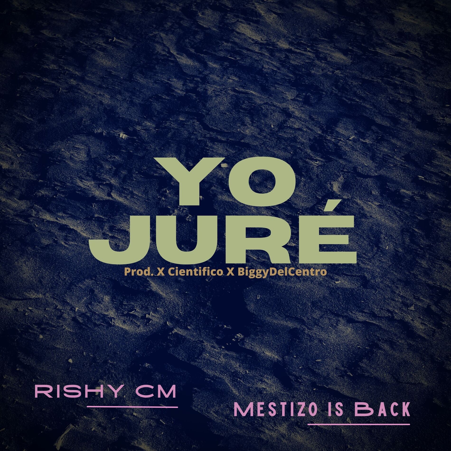 Album cover of Yo Juré