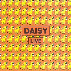 Cover of Daisy Live
