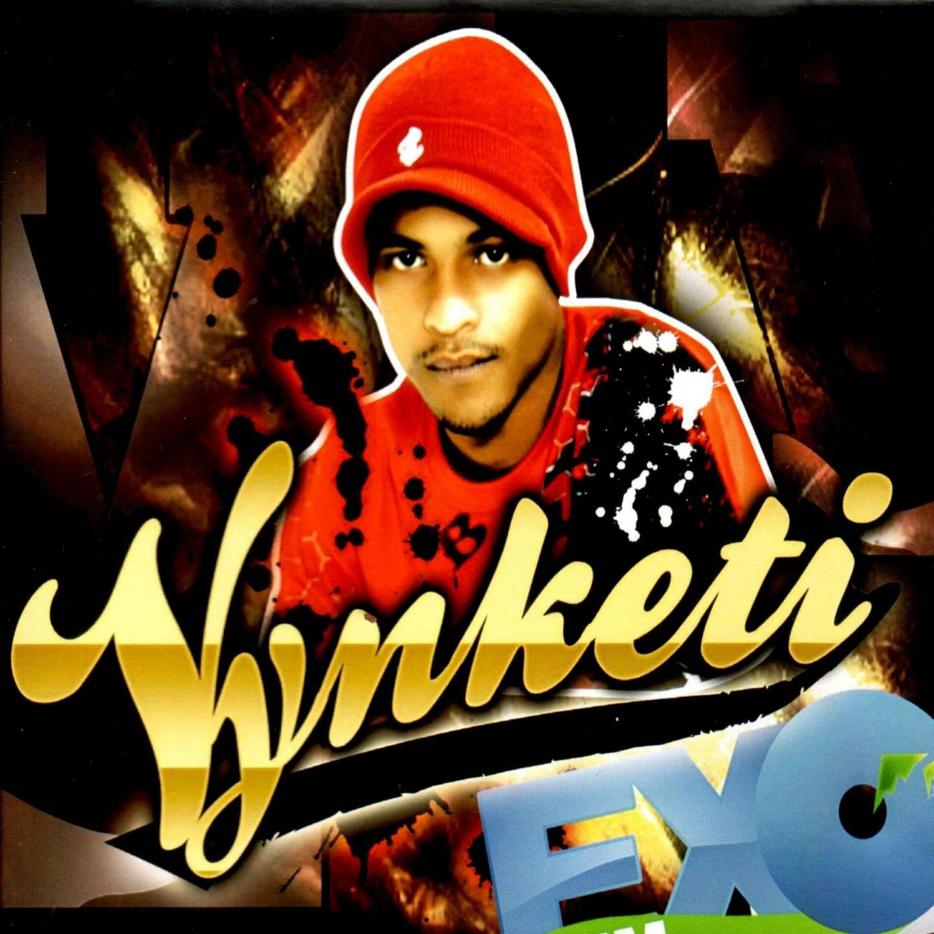 Album cover of Vynketi