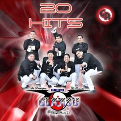Cover of 20 Hits