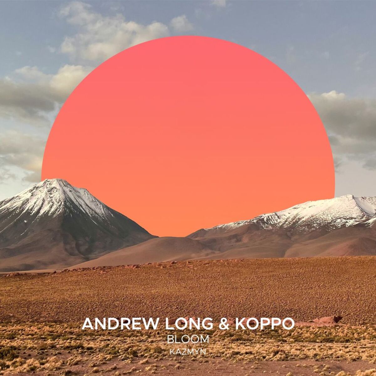 Album cover of Bloom
