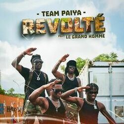 Cover of Révolté