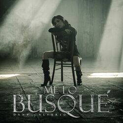 Cover of Me Lo Busqué