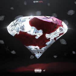 Cover of What Goes Next