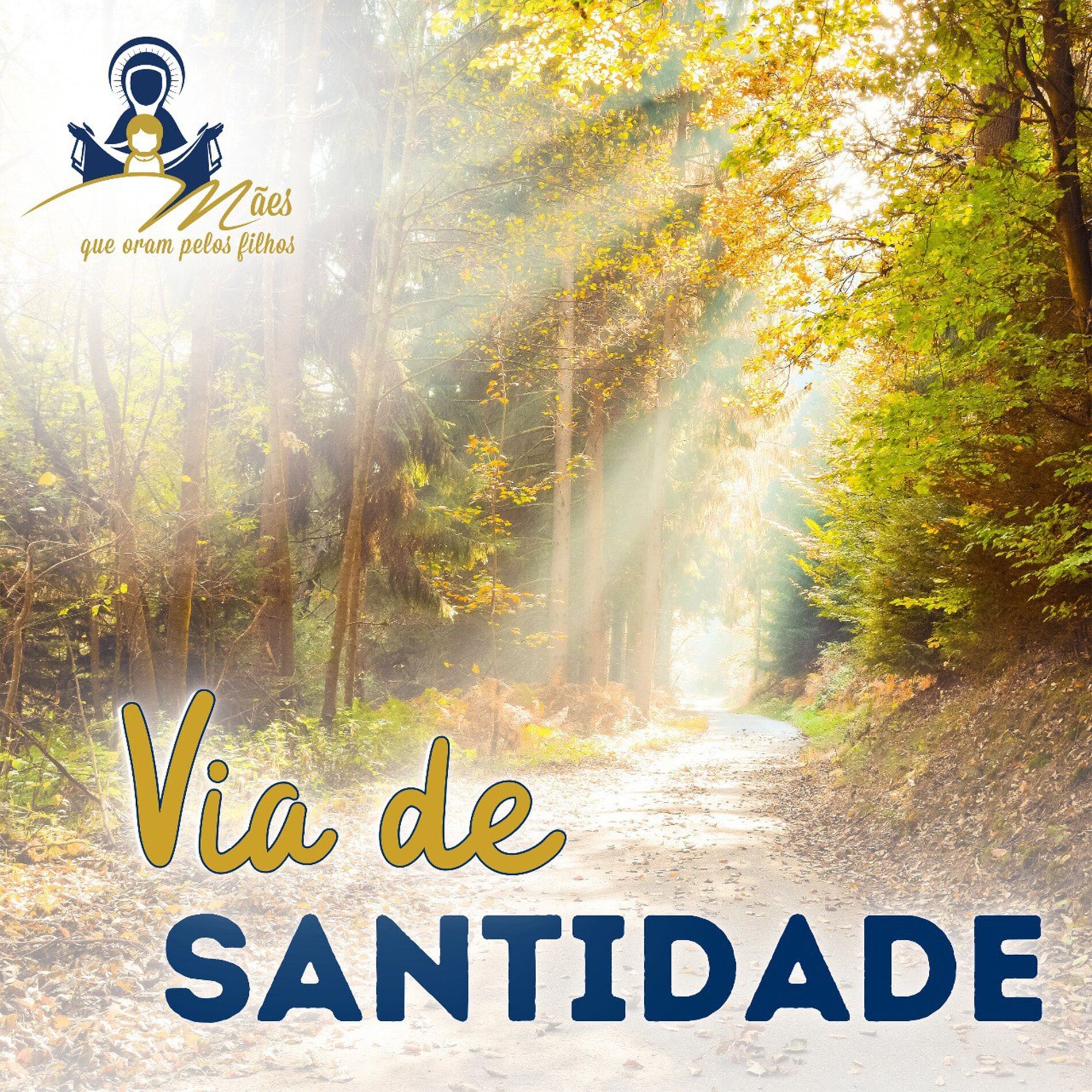 Album cover of Via de Santidade