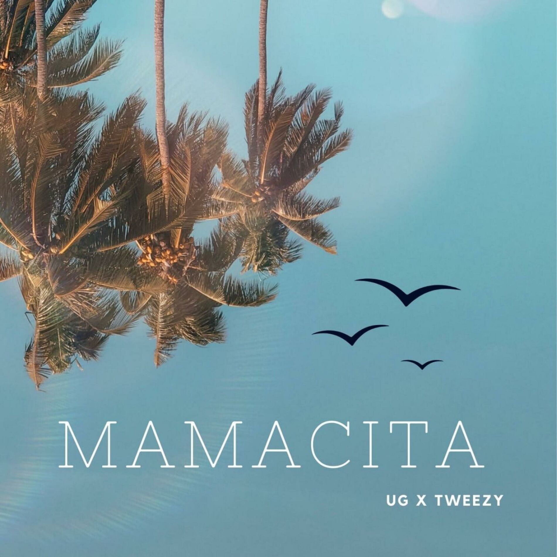 Album cover of Mamacita (feat. UG & Tweezy)