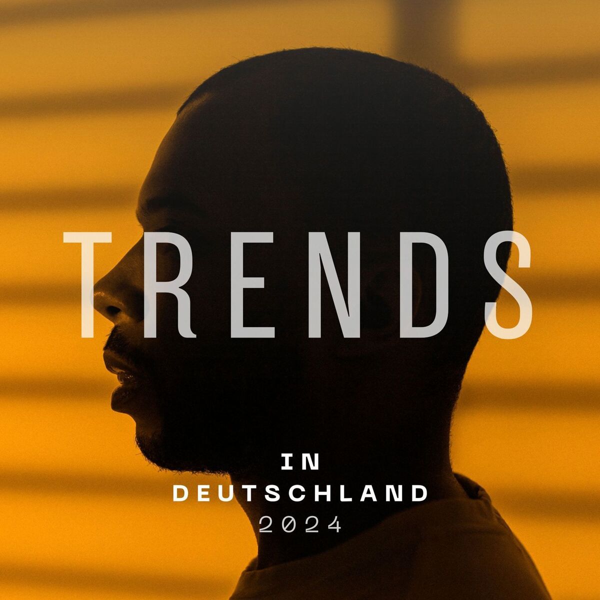Album cover of Trends in Deutschland - 2024