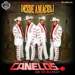 Cover of En Vivo Desde Amaculi (En Vivo Tololoche)