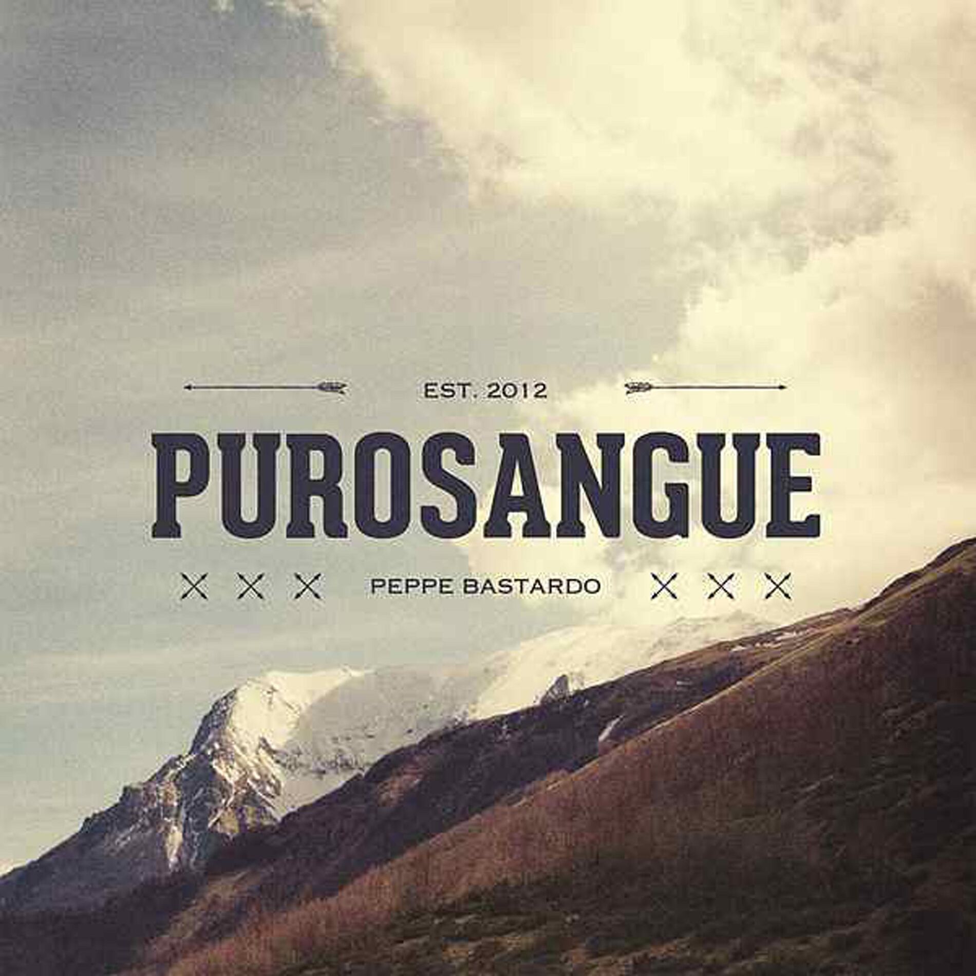 Album picture of Purosangue