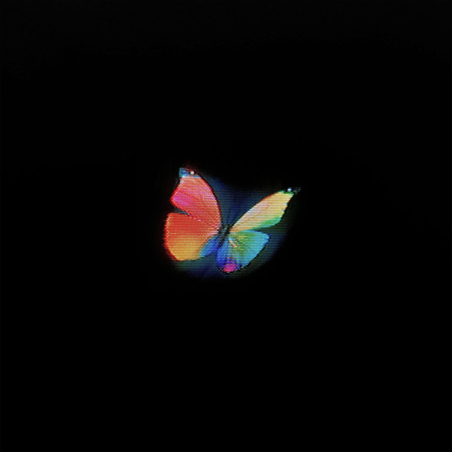 Album cover of All I've Got