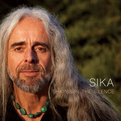 Cover of Shapes in the Silence