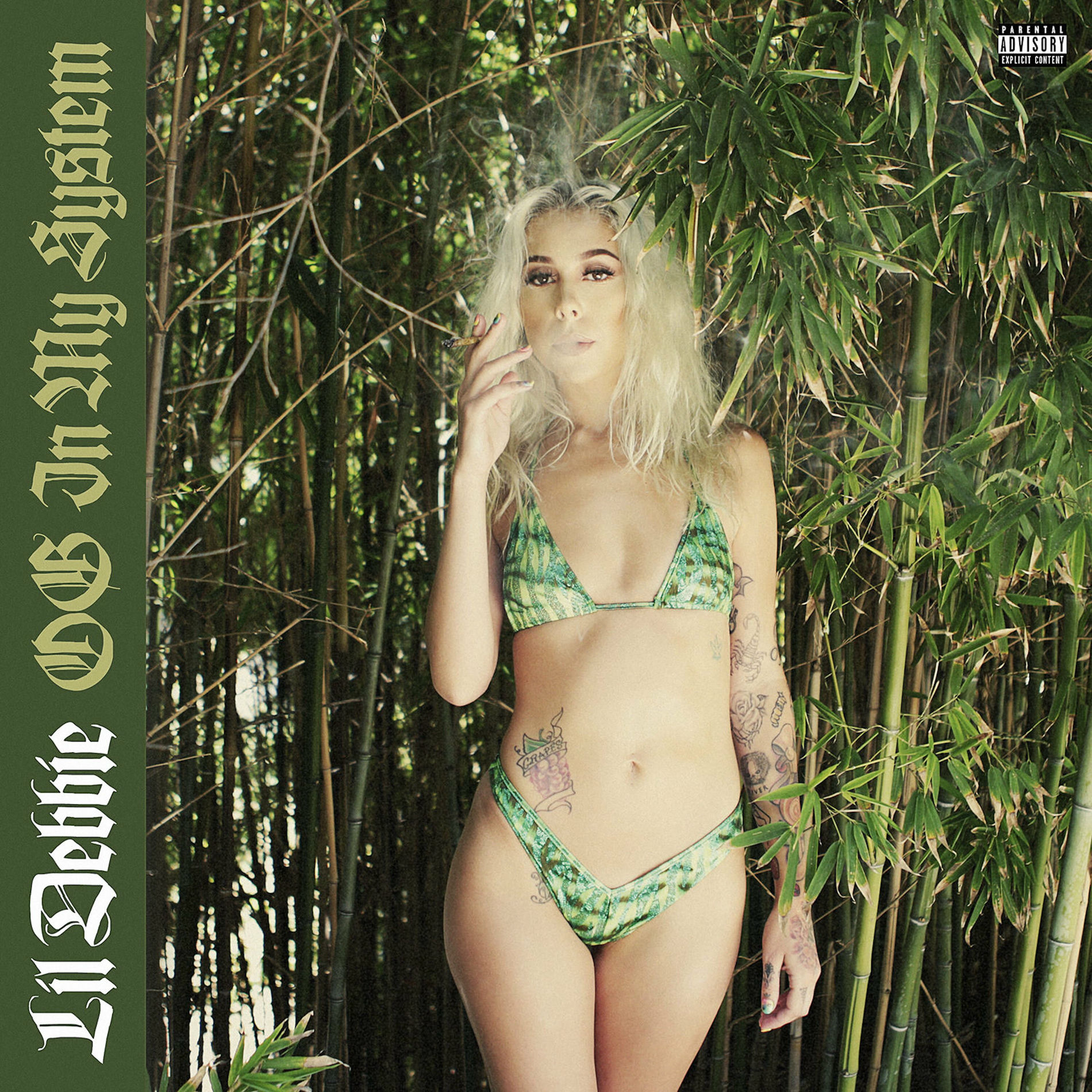 Album cover of OG In My System