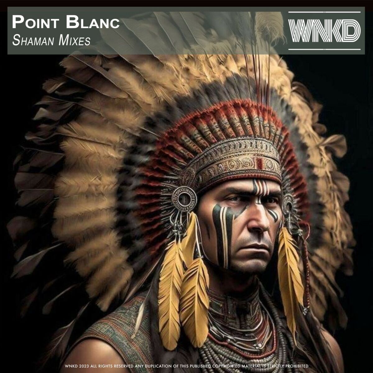 Album cover of Shaman Mixes