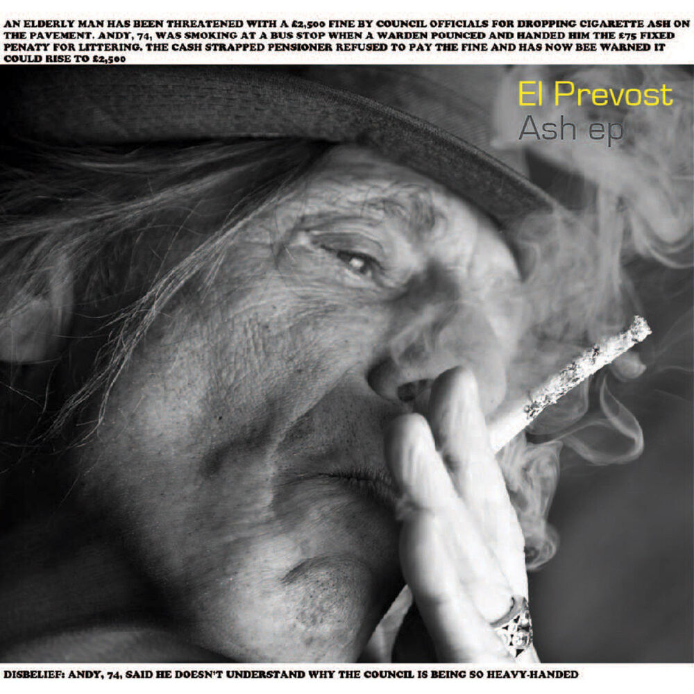 Picture of The Ash