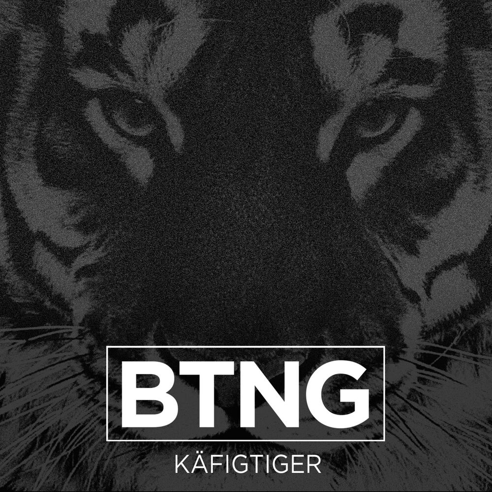 Picture of Käfigtiger