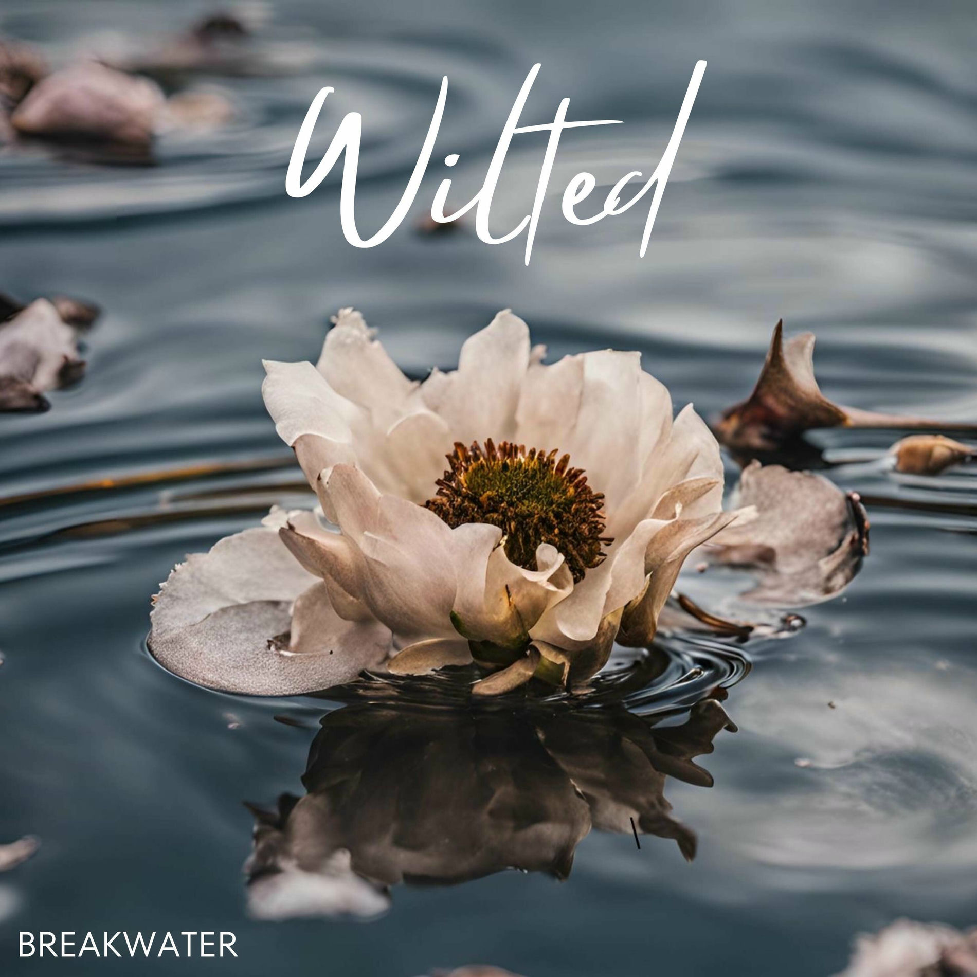 Album cover of Wilted