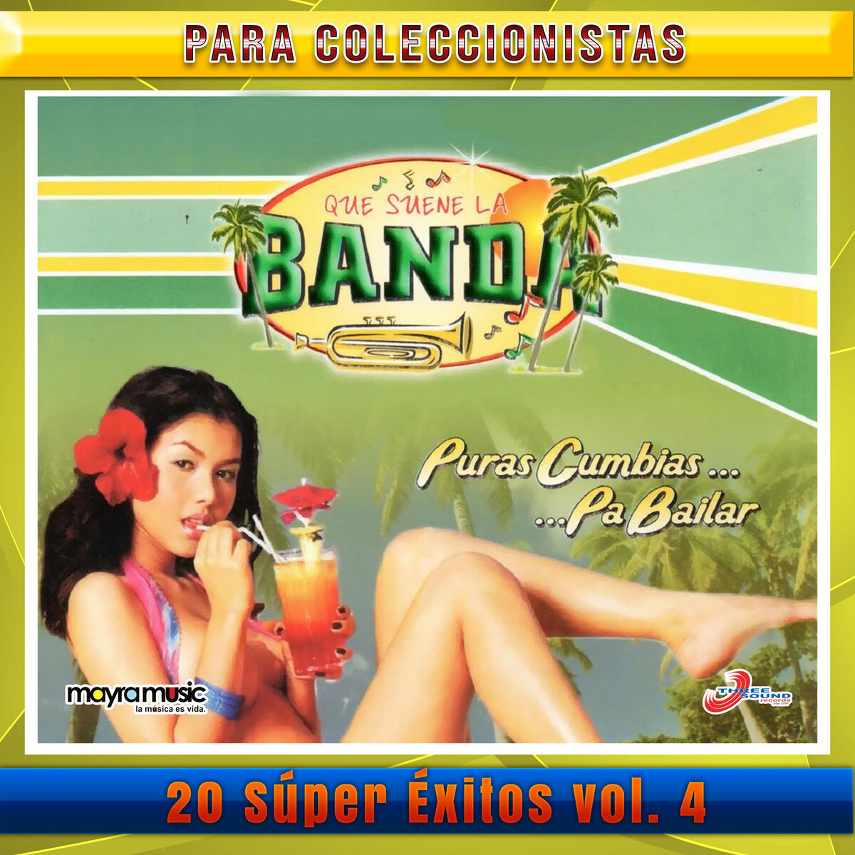 Album cover of Que Suene La Banda Puras Cumbia Pa' Bailar, Volumen 4
