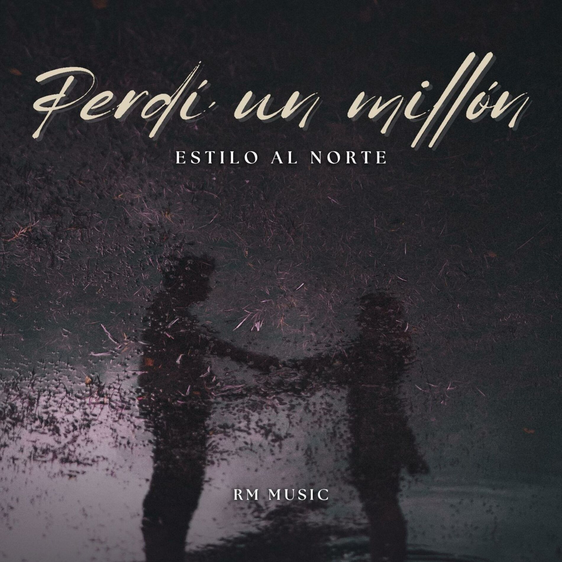 Album cover of Perdí Un Millón