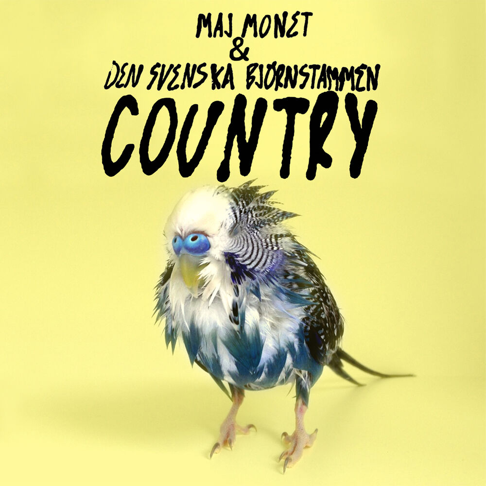 Picture of Country