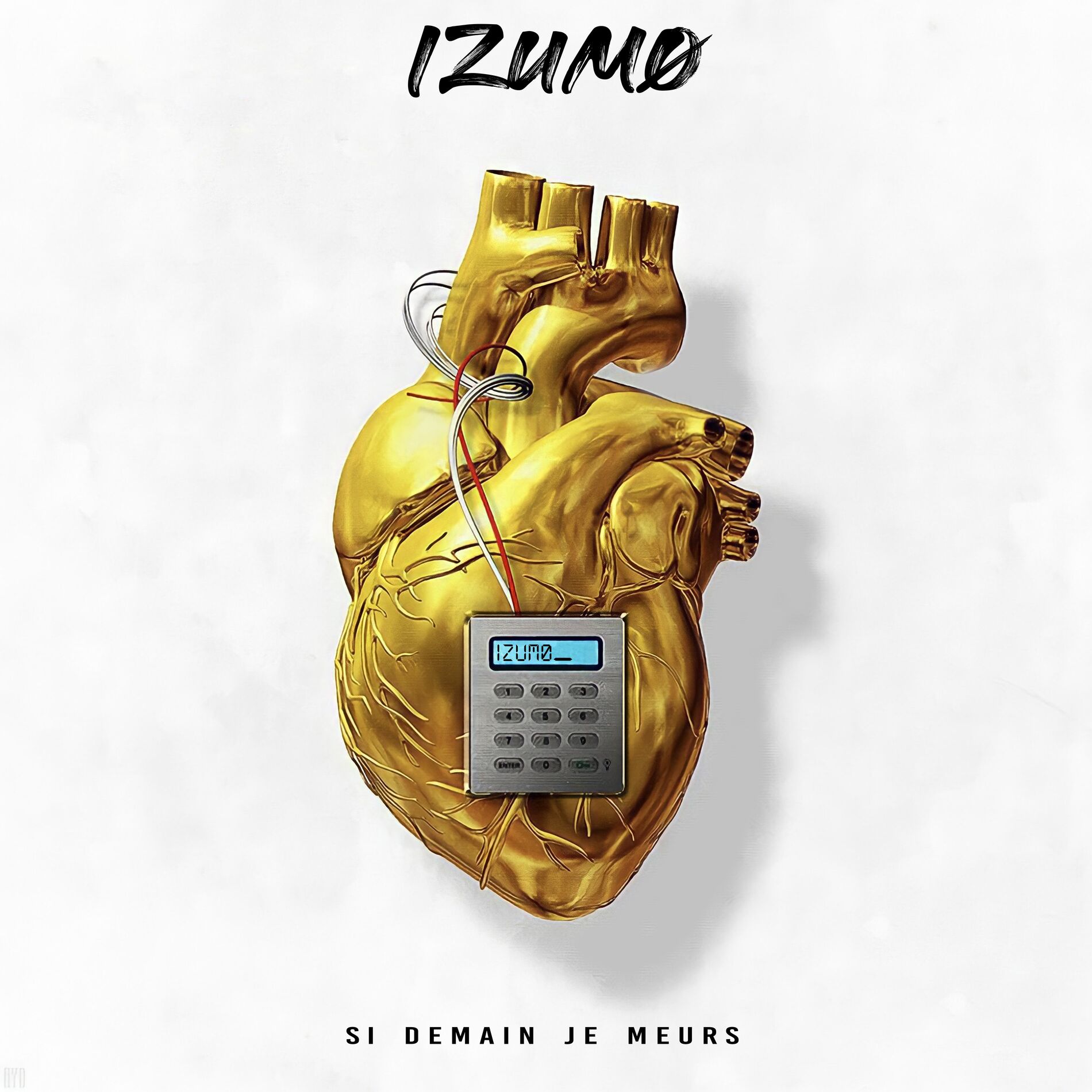 Album cover of Si demain je meurs