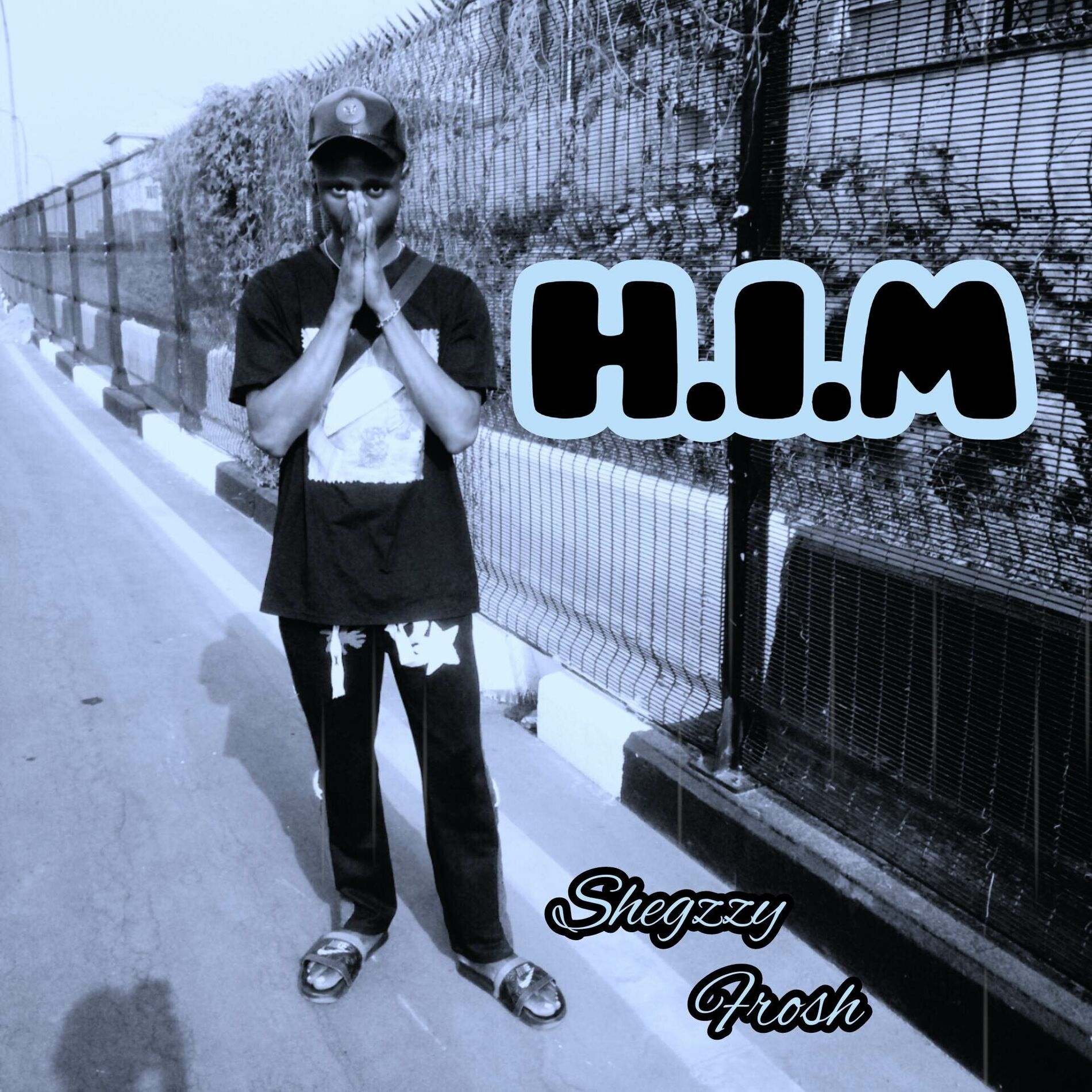 Album cover of H.I.M