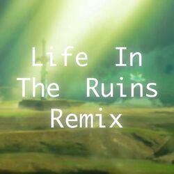 Cover of Life in the Ruins