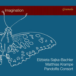 Cover of Imagination by undefined