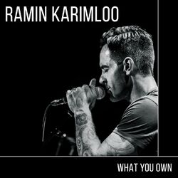 Cover of What You Own