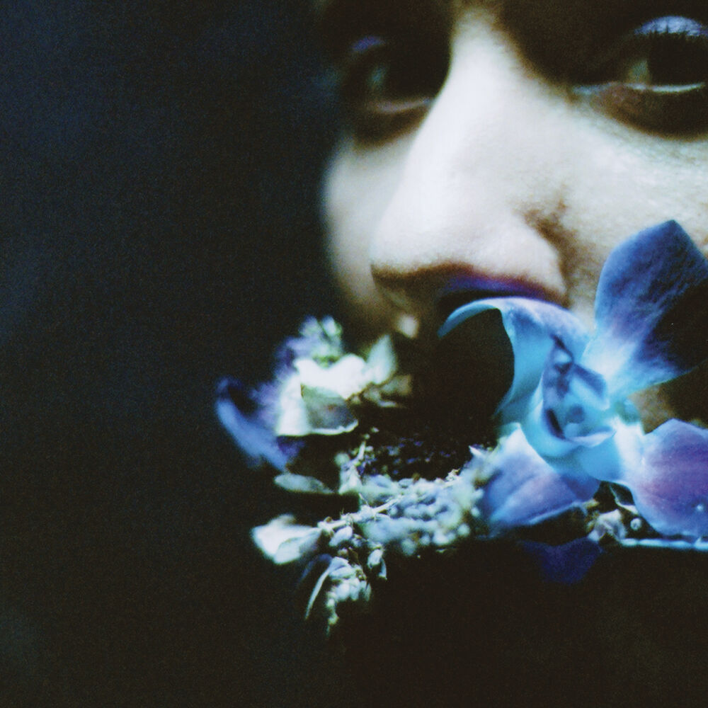 Picture of Reaching For Indigo