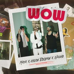 Cover of WOW