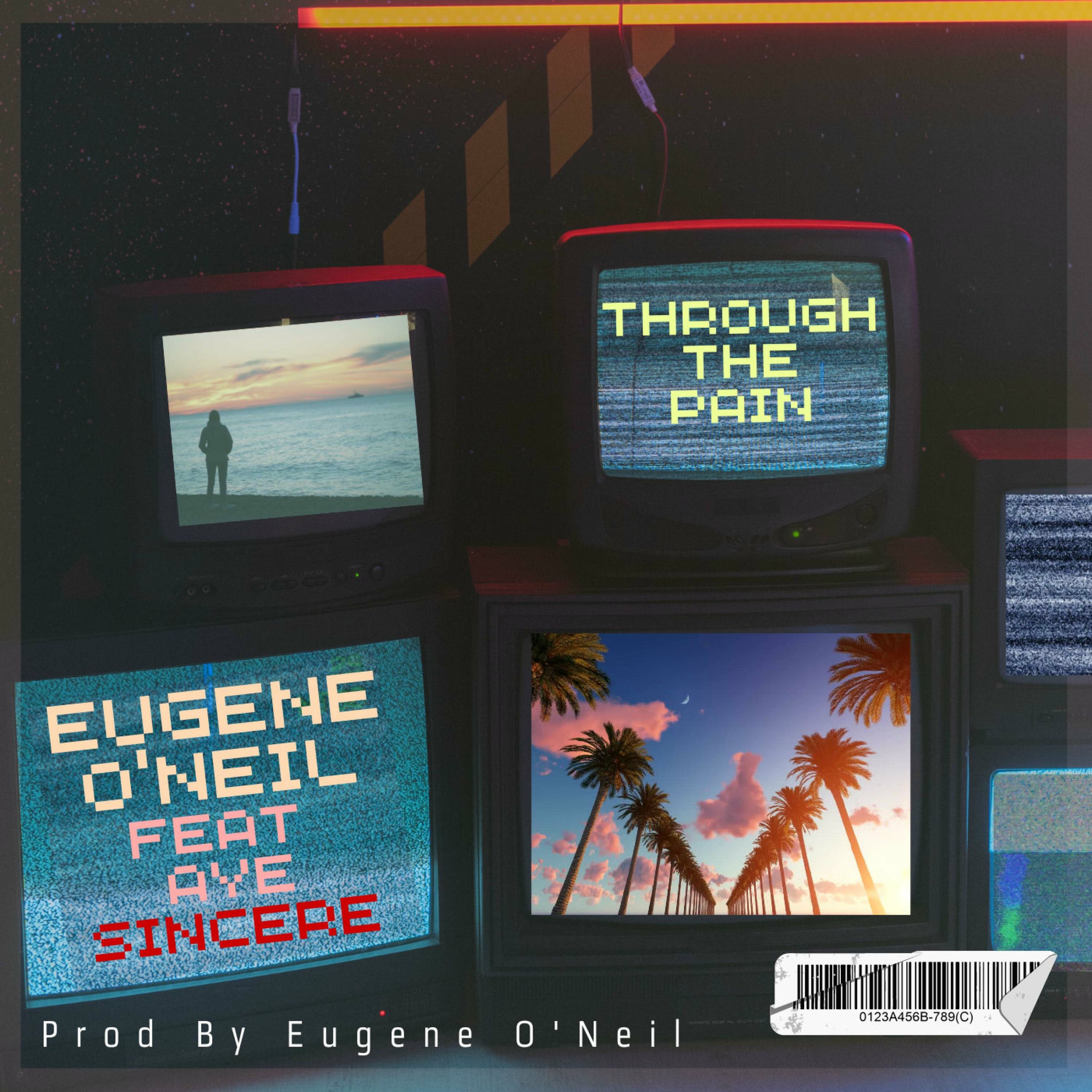 Album cover of Through The Pain (feat. Aye Sincere)