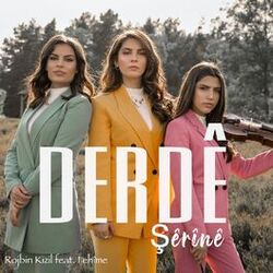 Cover of Derdê Şêrînê