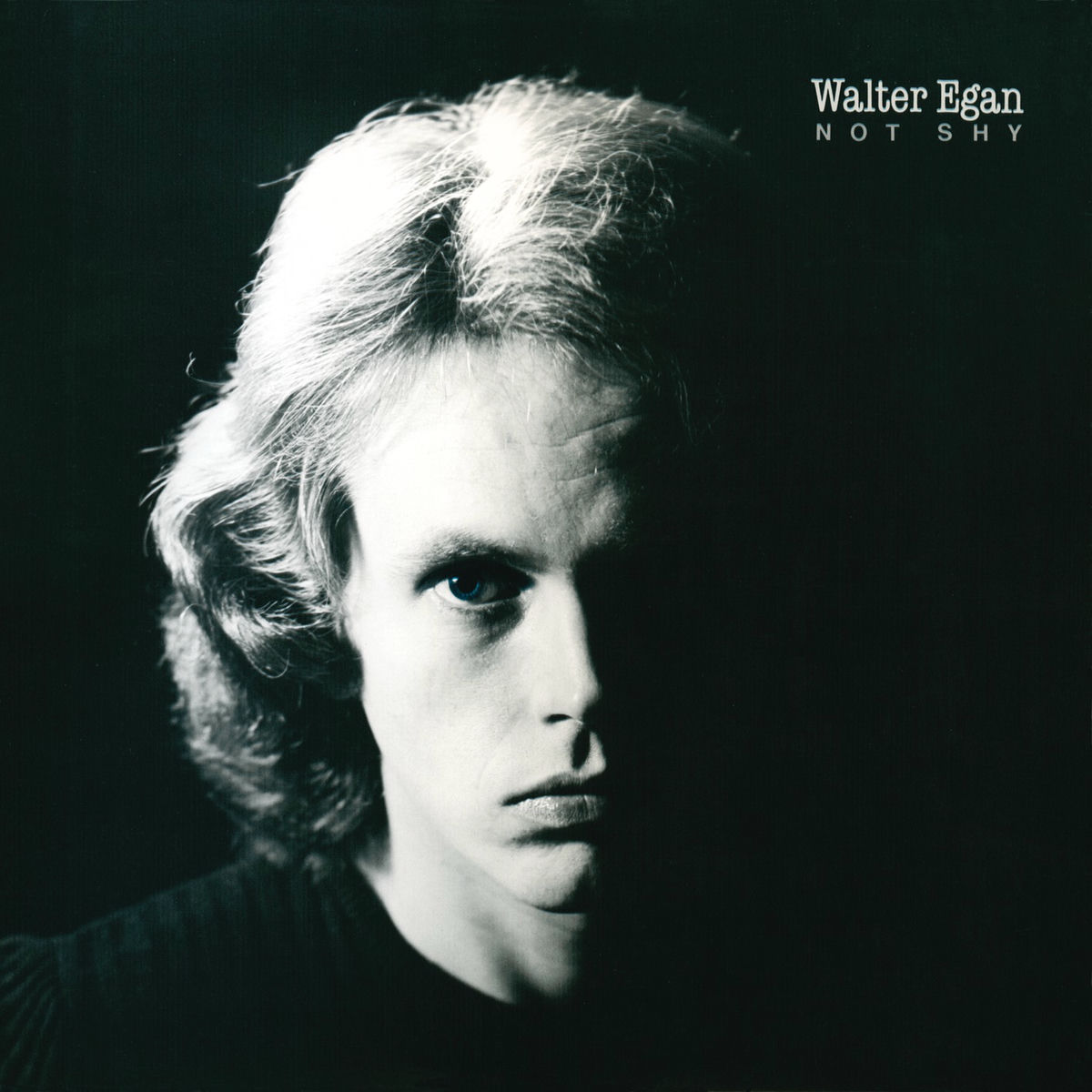 Album cover of Magnet and Steel