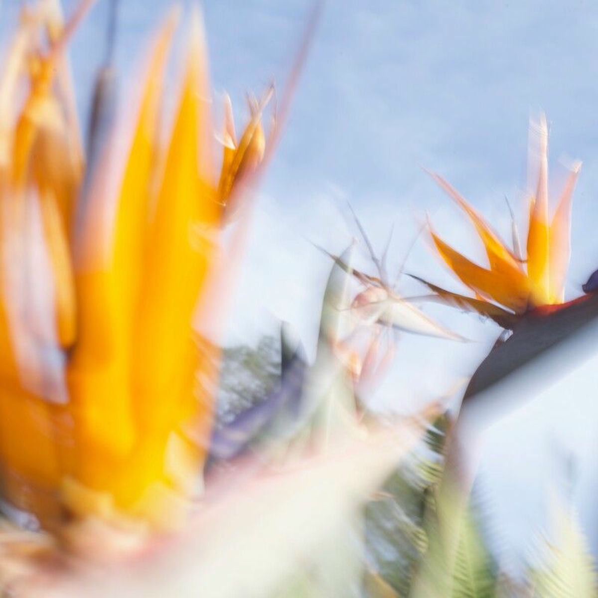 Album cover of Think About