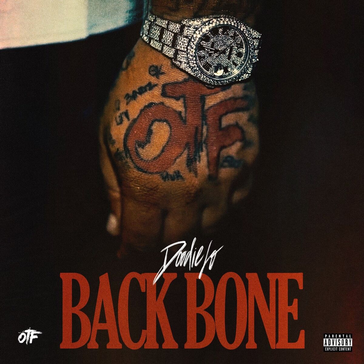 Album cover of Back Bone