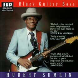 Cover of Blues Guitar Boss