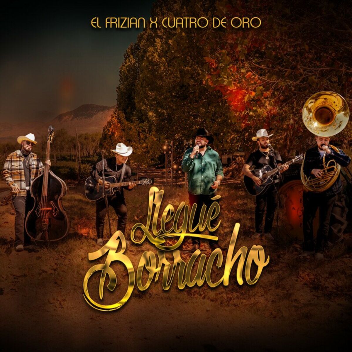 Album cover of Llegué Borracho