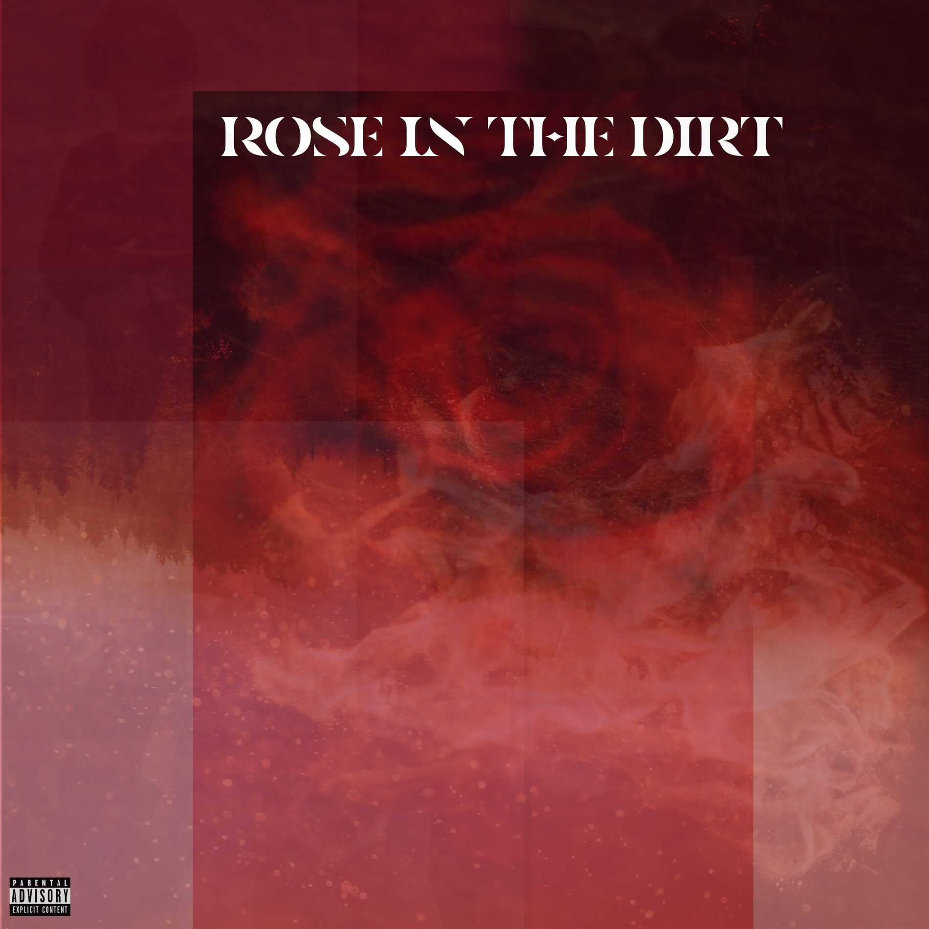 Album cover of Rose In The Dirt