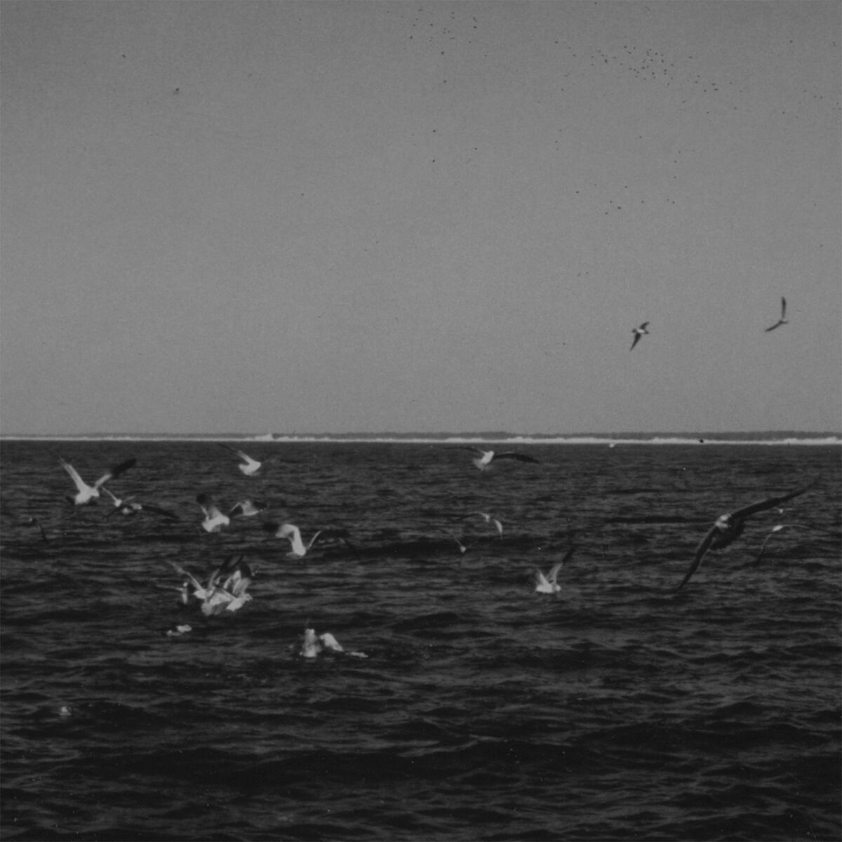 Album cover of Barrow